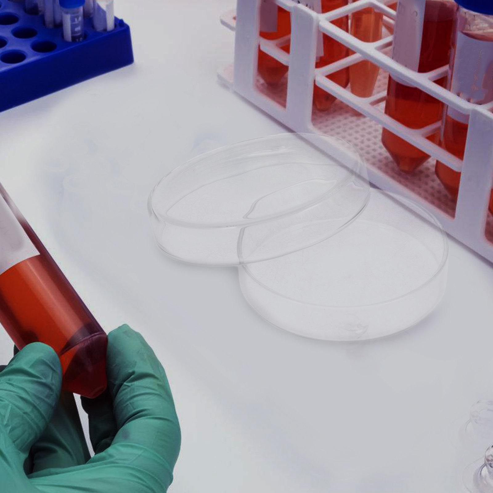 High Borosilicate Glass Petri  - Agar Tissue Culture recension och pris